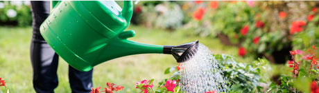 How much water does my garden need? - Frankton's