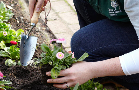 Planting