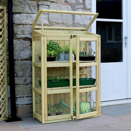 Compact Botanical Greenhouse - Frankton's