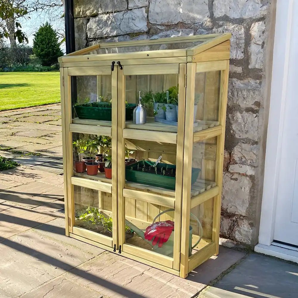 Compact Botanical Greenhouse - Frankton's