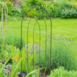 Gothic Trellis Pack of Four with Bird 1.2m Brown Rusty - Frankton's