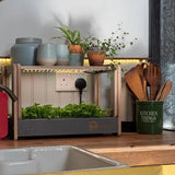 H-Mini Countertop Indoor Garden - Frankton's