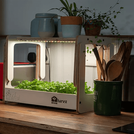 H-Mini Countertop Indoor Garden - Frankton's