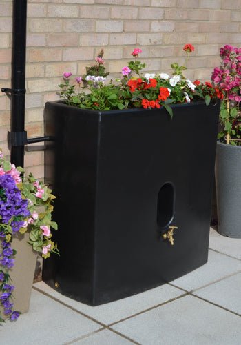 Oasis 375L Litre Water Butt Planter - Frankton's