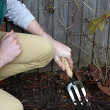 Stainless Hand Fork - RHS Endorsed - Frankton's