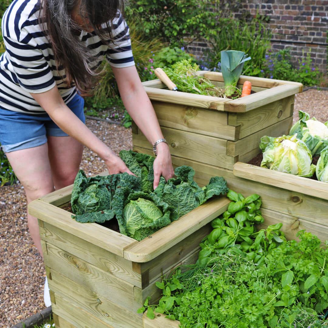 4 Tier Raised Bed - Frankton's