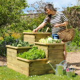 4 Tier Raised Bed - Frankton's