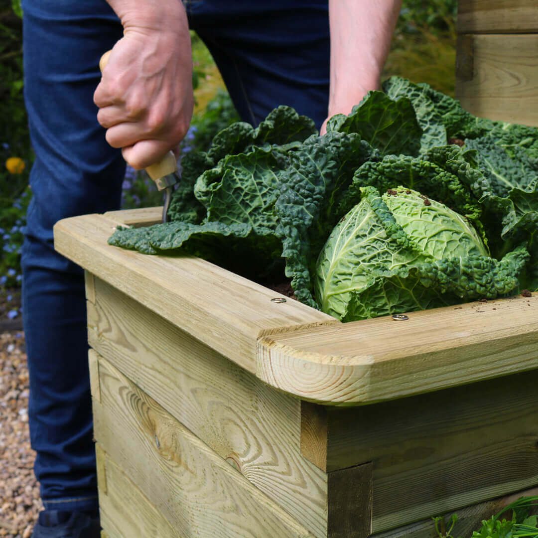 4 Tier Raised Bed - Frankton's