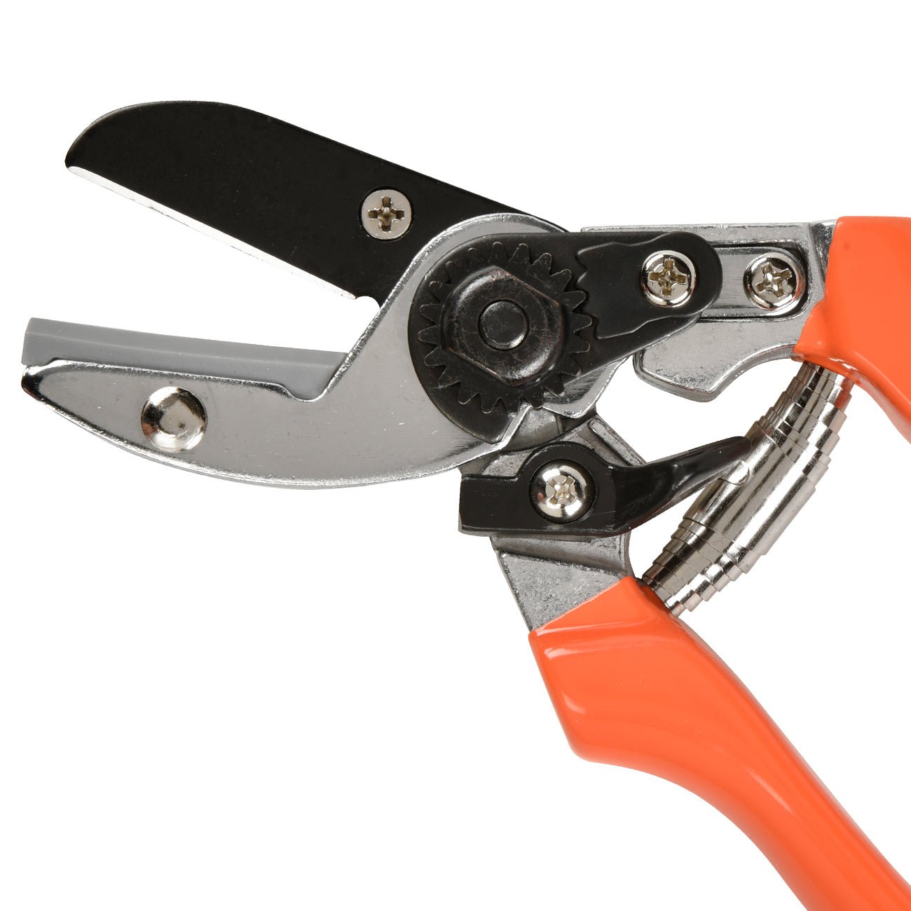 Anvil Secateur - RHS Endorsed - Frankton's