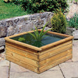 Aquatic Pond Planter - Small - Frankton's