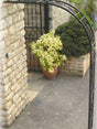 Buckingham Wall Fix Arch - Frankton's