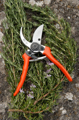 Bypass Secateurs - RHS Endorsed - Frankton's