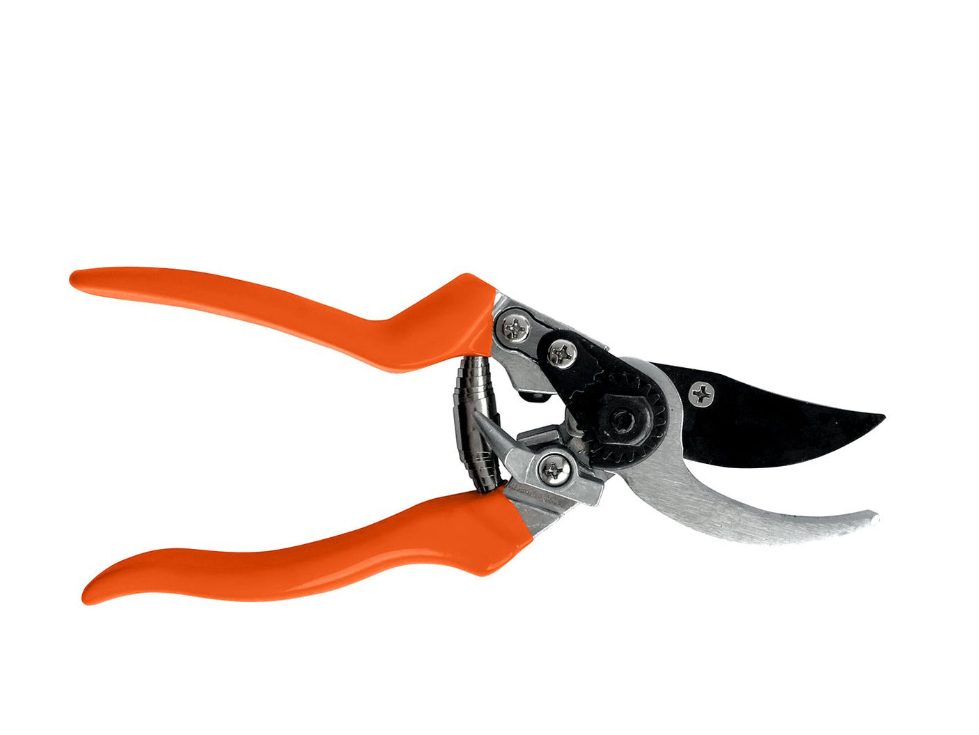 Bypass Secateurs - RHS Endorsed - Frankton's