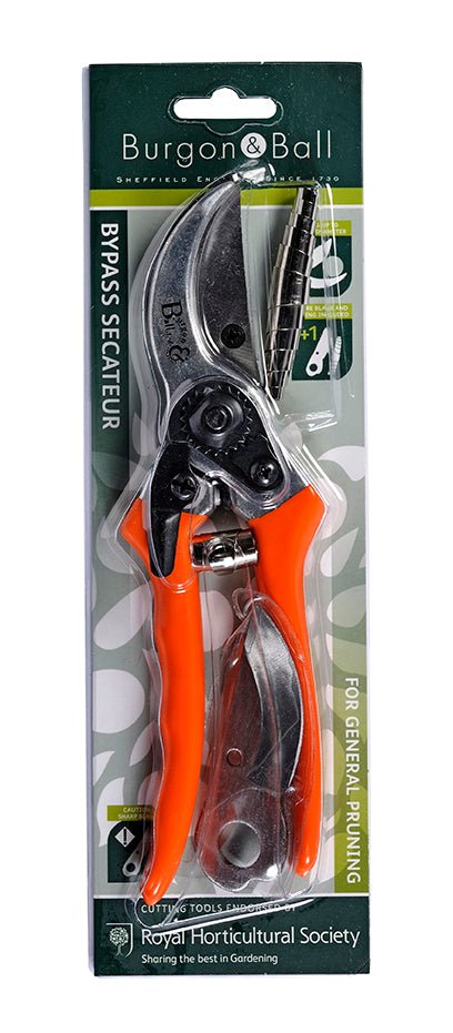 Bypass Secateurs - RHS Endorsed - Frankton's