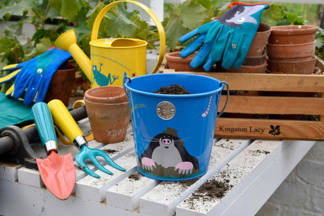 Children's Bucket - National Trust - Frankton's