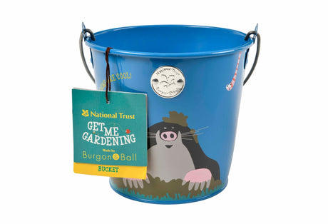 Children's Bucket - National Trust - Frankton's