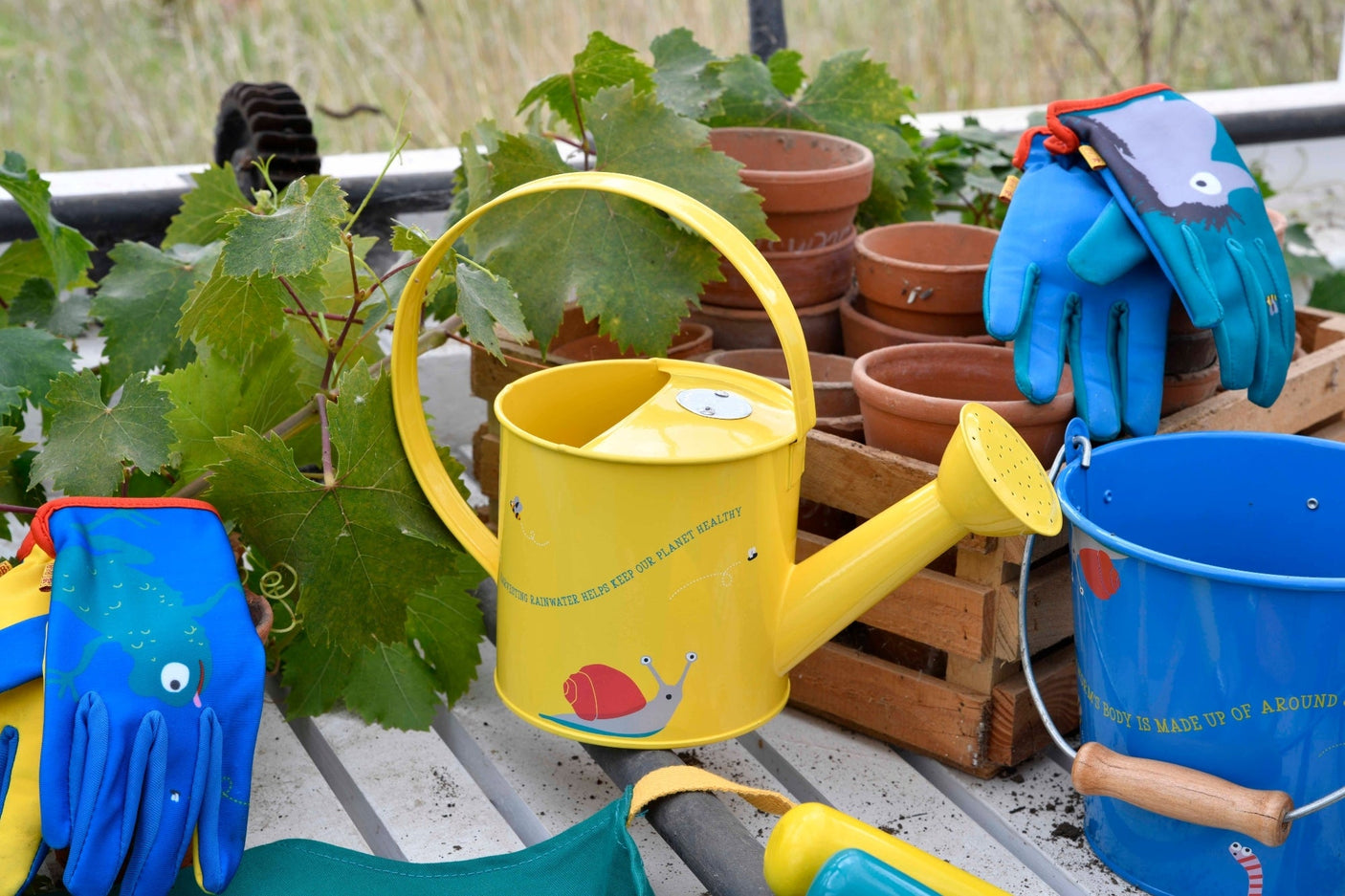 Children's Frog Gardening Gloves - National Trust - Frankton's