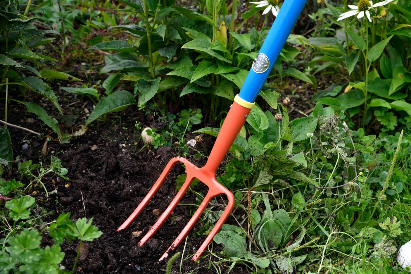 Children's Garden Fork - National Trust - Frankton's