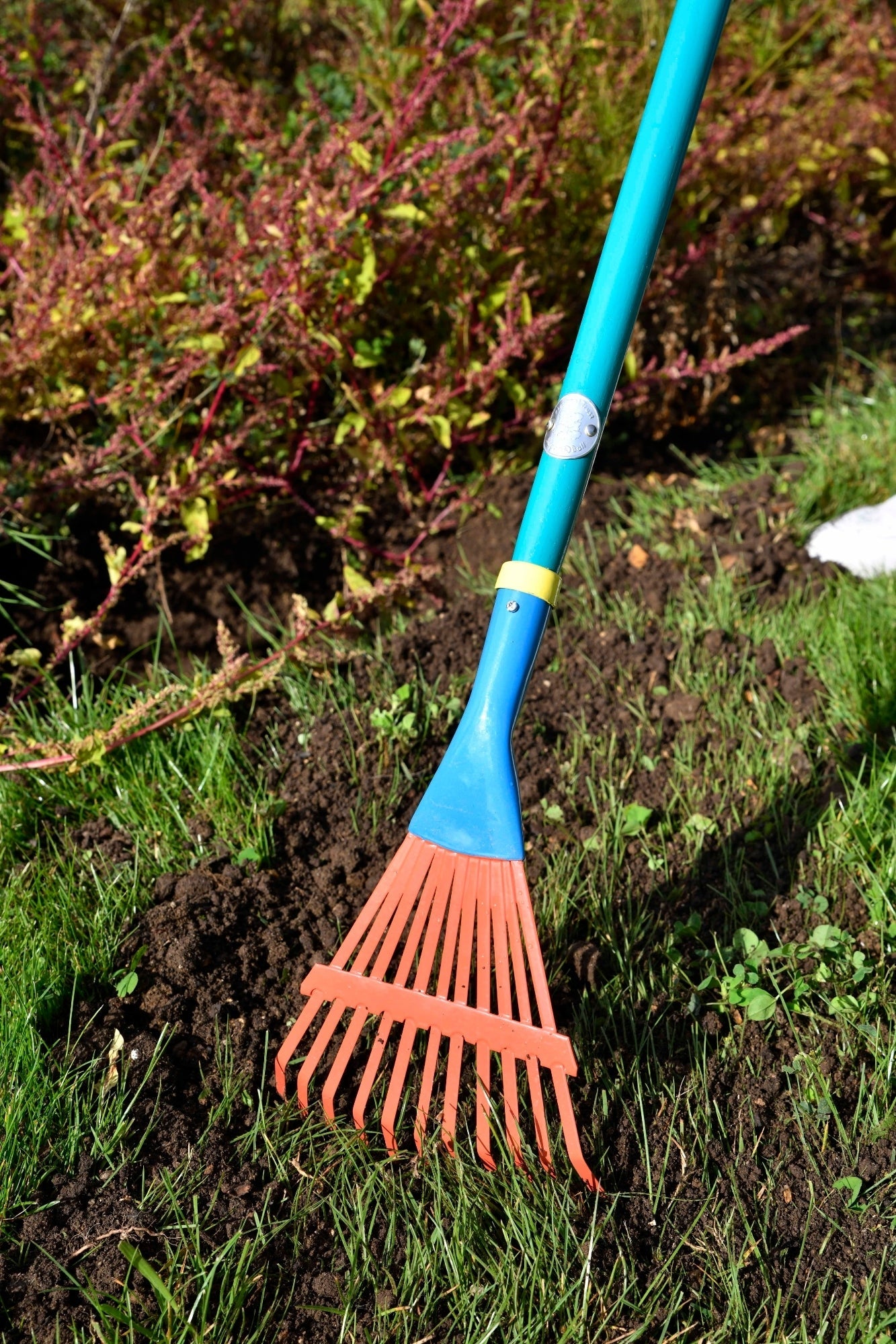 Children's Garden Rake - National Trust - Frankton's