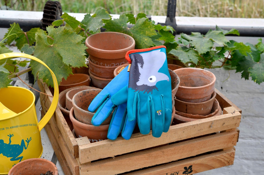 Children's Hedgehog Gardening Gloves - National Trust - Frankton's