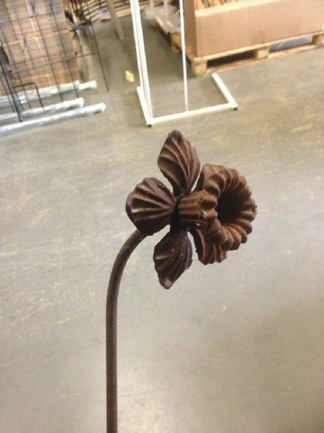 Daffodil Feature Plant Pin - Frankton's