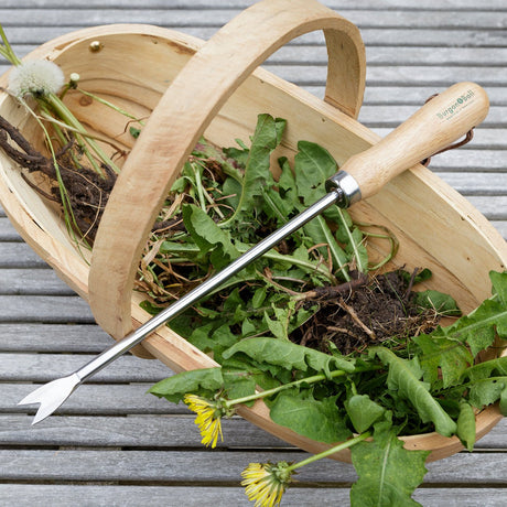 Dandelion Weeder - RHS Endorsed - Frankton's