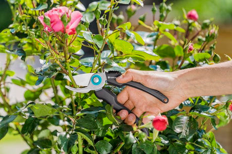 EcoLine Secateurs - Frankton's