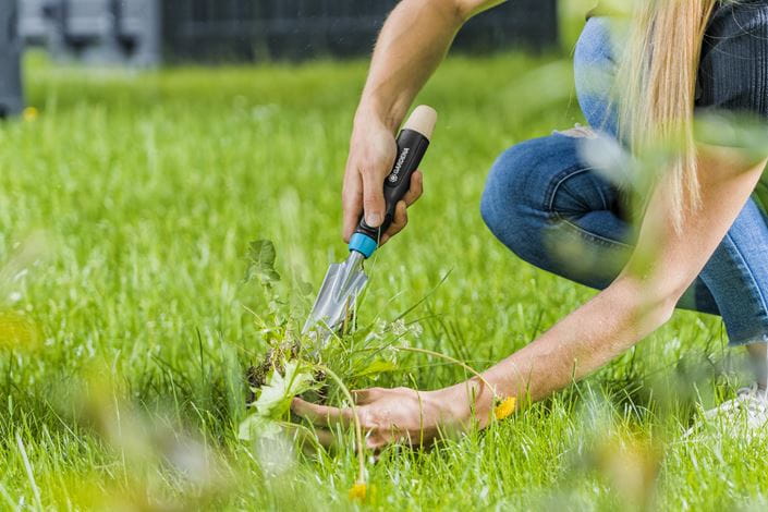 EcoLine Weeding Trowel - Frankton's