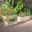 Gresford Planter Set - Frankton's