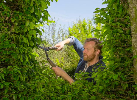 Hedge Clippers NatureCut - Frankton's