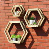 Honeycomb Shelf Set Of 3 - Frankton's