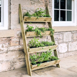 Ladder Planter - Frankton's