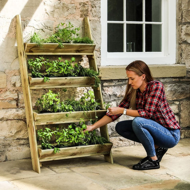 Ladder Planter - Frankton's