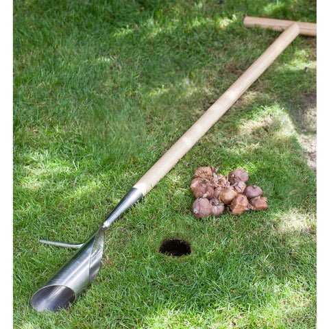 Long Handled Bulb Planter - RHS Endorsed - Frankton's