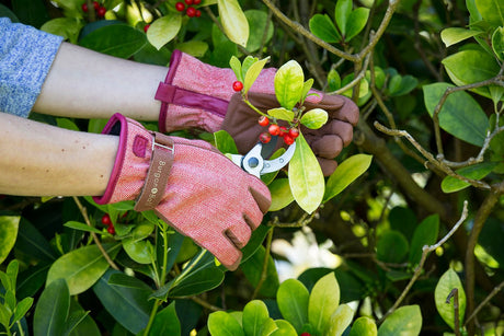 Love The Glove - Red Tweed - Frankton's