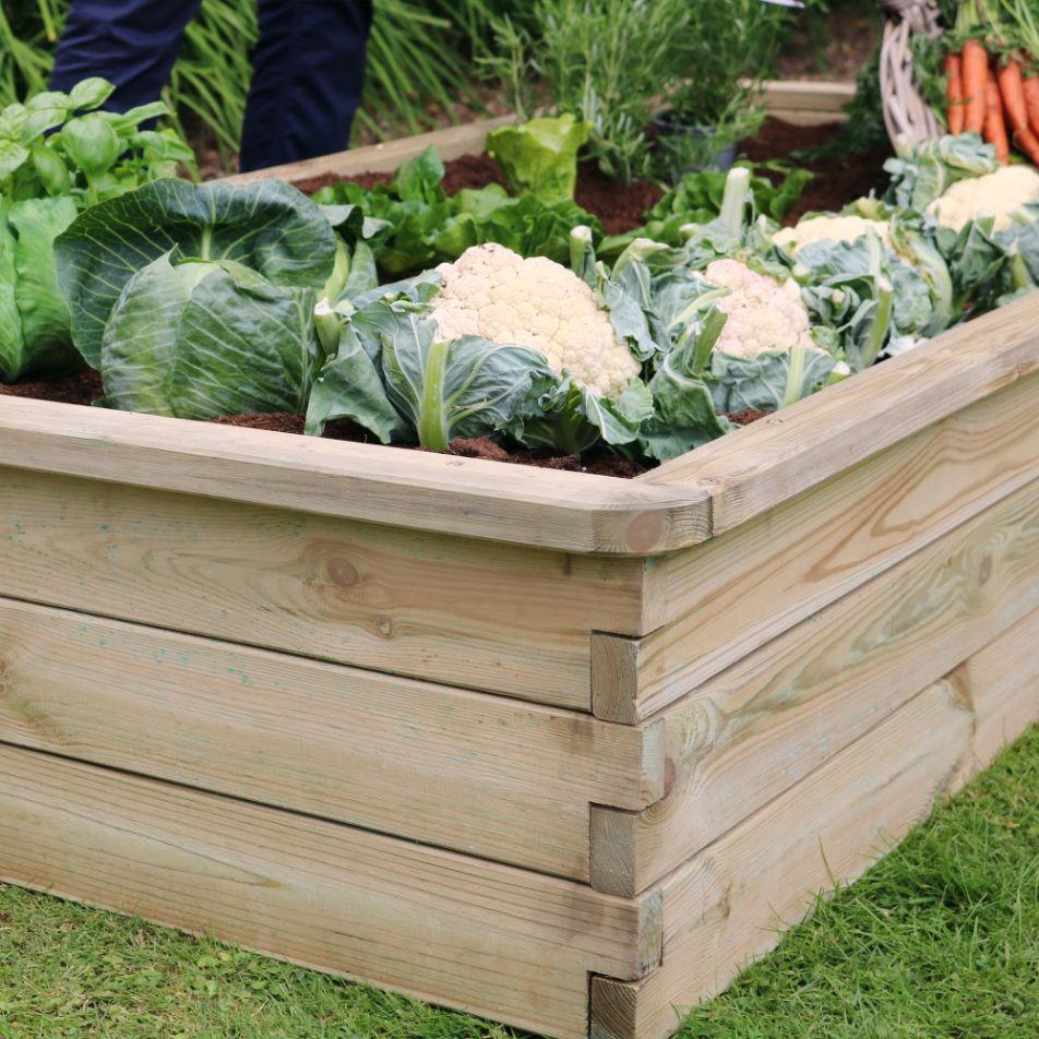 Low Sleeper Raised Bed - Frankton's