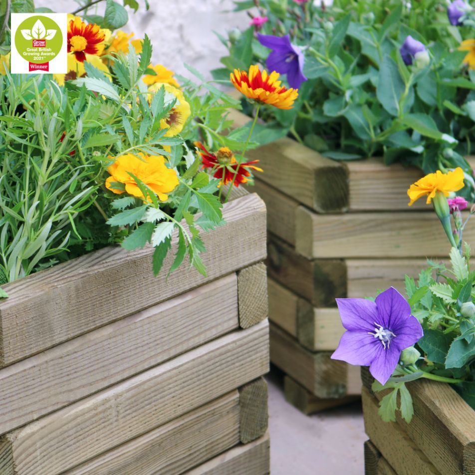 Marford Hexagonal Planter Set - Frankton's