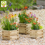 Marford Hexagonal Planter Set - Frankton's