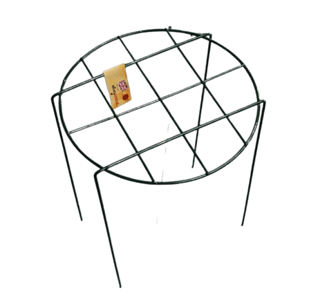 Mesh Plant Support Ring - Set of 4 - Frankton's