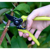 Micro Secateur - RHS Endorsed Green handle - Frankton's