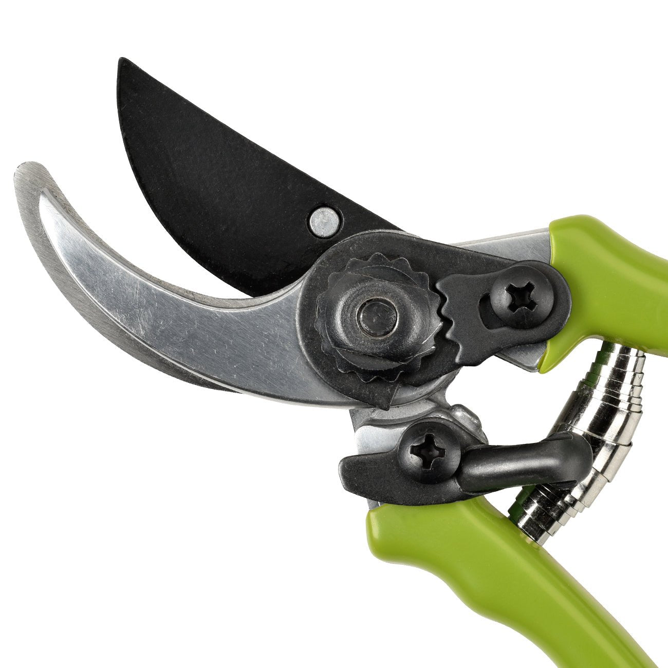 Micro Secateur - RHS Endorsed Green handle - Frankton's