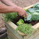 Narrow Sleeper Raised Bed - Frankton's