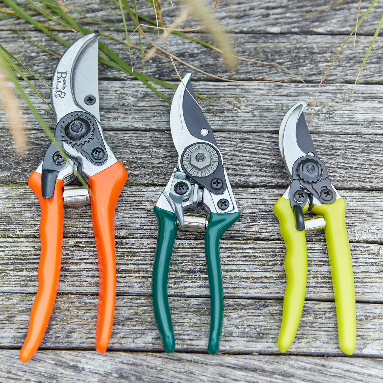 Pocket Pruner - RHS Endorsed - Frankton's