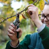 Pocket Pruner - RHS Endorsed - Frankton's