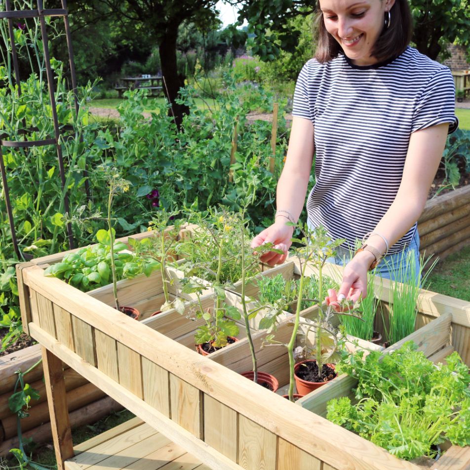 Raised Herb Planter - Frankton's