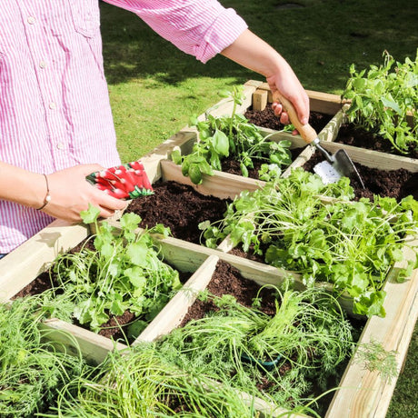 Raised Herb Planter - Frankton's