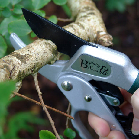 Ratchet Pruner - RHS Endorsed - Frankton's