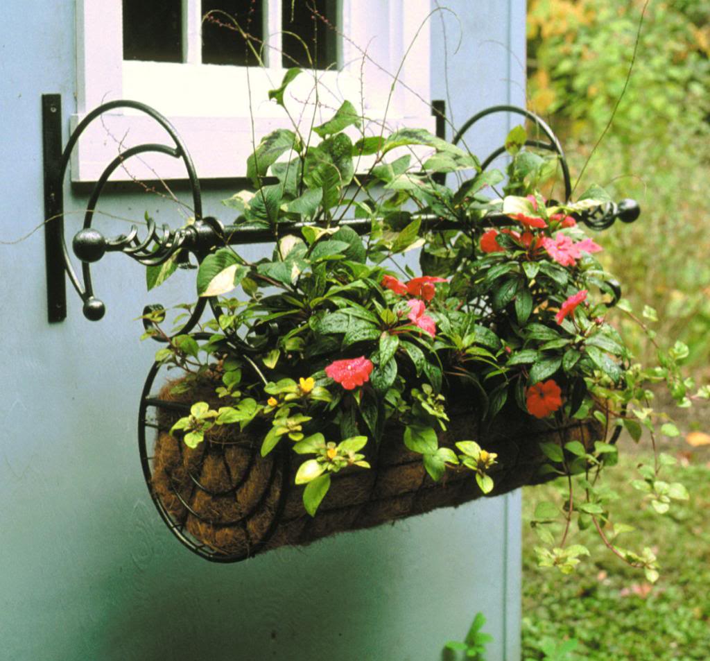 Regal Swing Planter - Frankton's