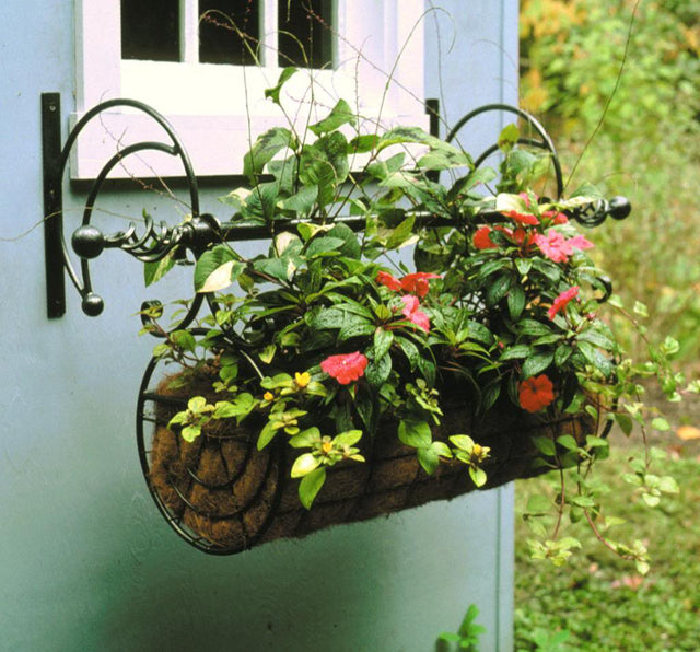 Regal Swing Planter - Frankton's