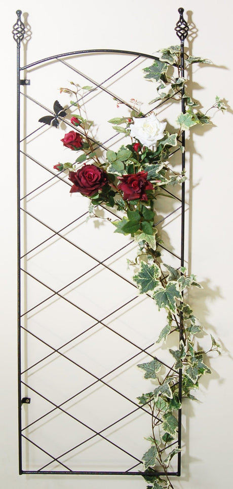 Regent Wall Trellis - Frankton's